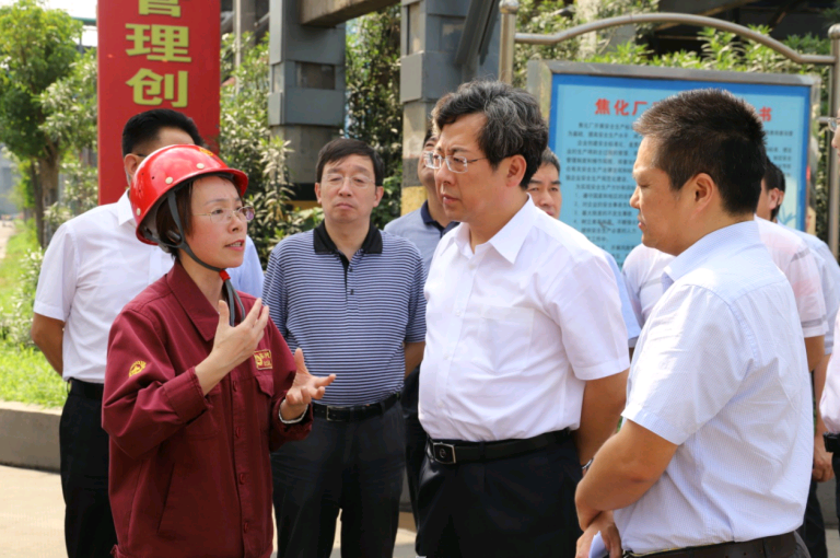 省環(huán)保廳廳長(zhǎng)王天琦一行來淮鋼視察